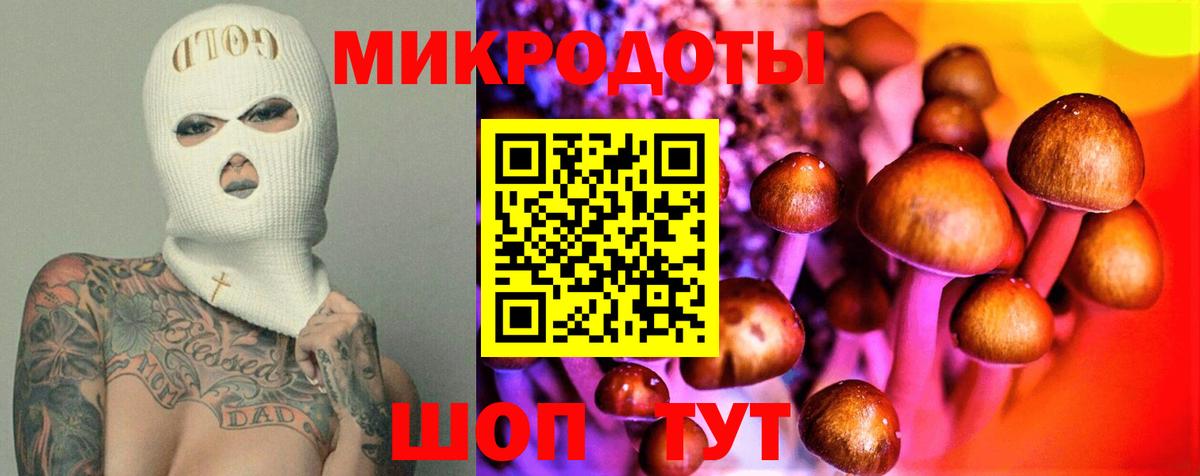 Торжок  Галлюциногенные грибы Psilocybe  Вход с VPN 