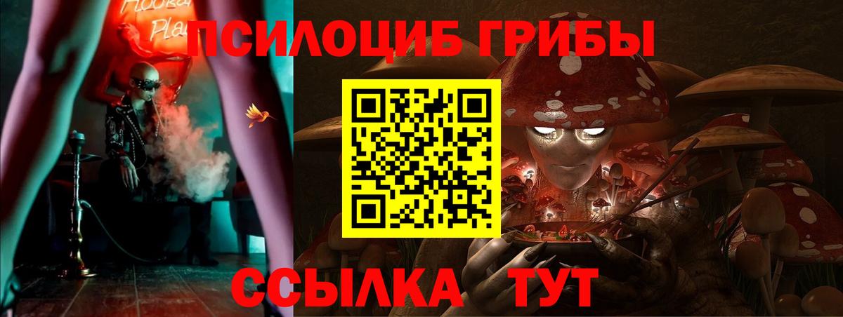 Галлюциногенные грибы ЛСД Торжок